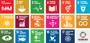 17 Objetivos de Desarrollo Sostenible de la Agenda 2030.